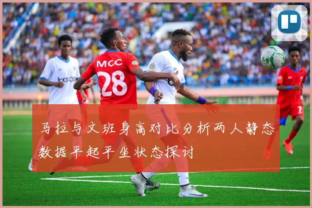 马拉与文班身高对比分析两人静态数据平起平坐状态探讨