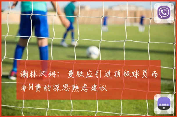 谢林汉姆：曼联应引进顶级球员而非M费的深思熟虑建议