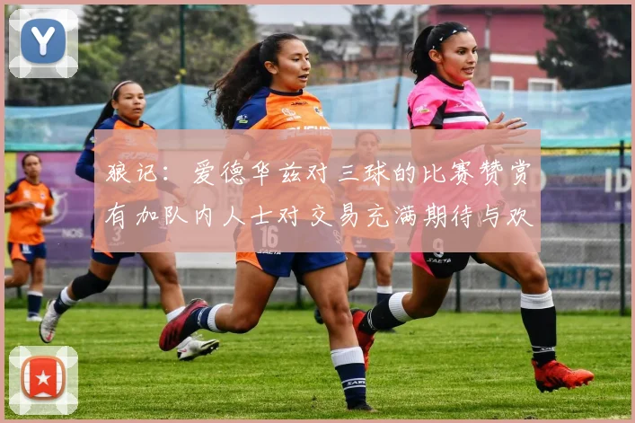 狼记：爱德华兹对三球的比赛赞赏有加队内人士对交易充满期待与欢欣